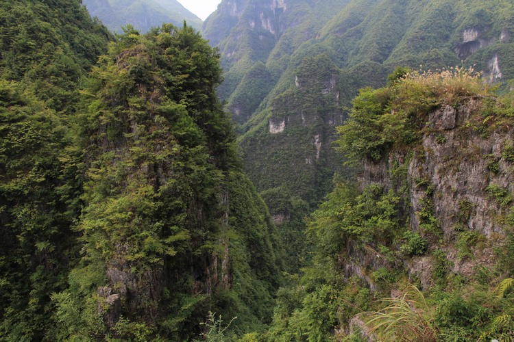 啧啧称奇贵州小黄山 叹为观止市坪红旗渠插图1