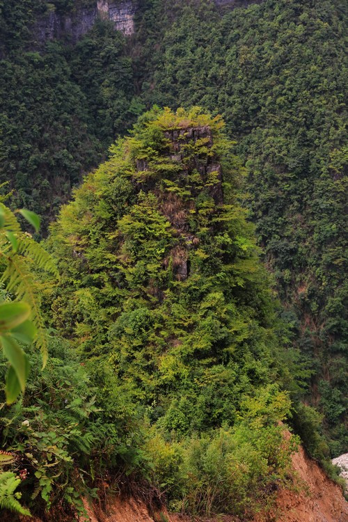 啧啧称奇贵州小黄山 叹为观止市坪红旗渠插图2