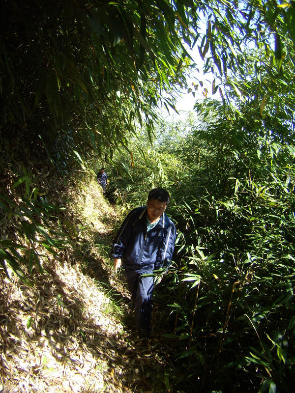 顶箐山风景独好，务本堂神韵依然——走遍正安活动第二十一期纪行插图67
