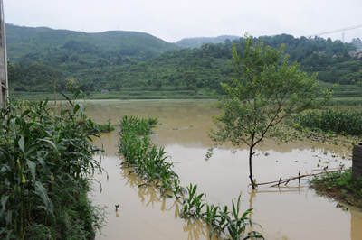 2010.7.9正安大暴雨后图片集插图4
