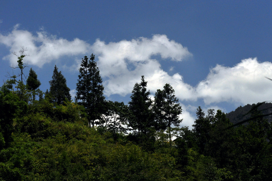 DSC_3553.JPG