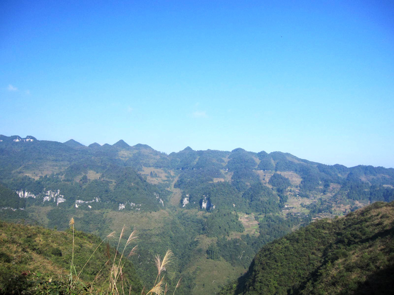 顶箐山风景独好，务本堂神韵依然——走遍正安活动第二十一期纪行插图15