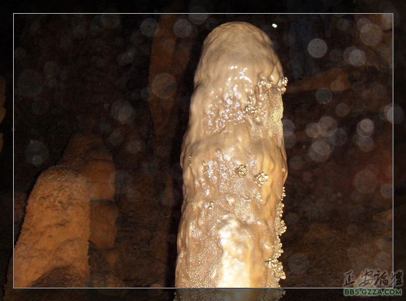 SDC10997.JPG