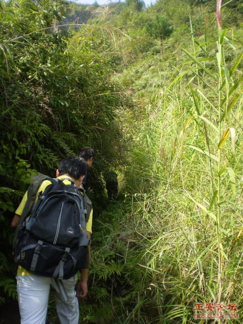 PA030016.JPG