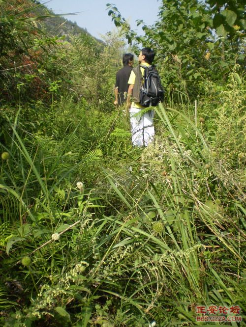 PA030010.JPG