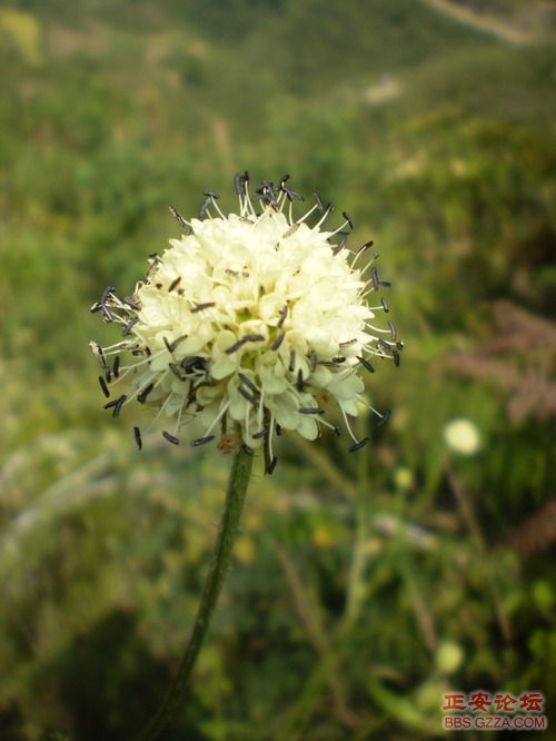 PA030008.JPG