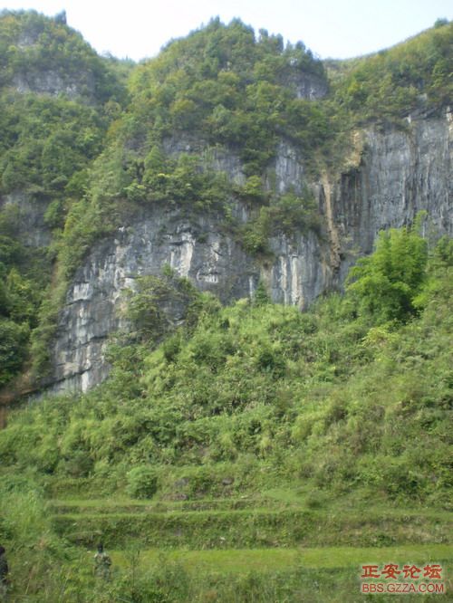 PA030027.JPG