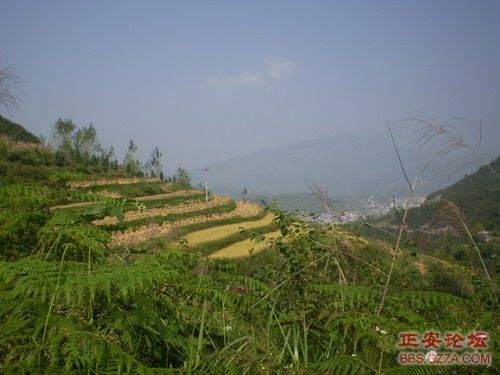 PA030011.JPG