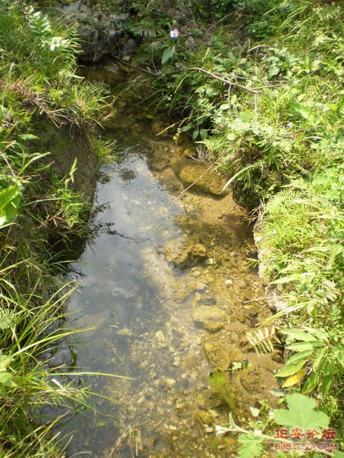 PA030028.JPG