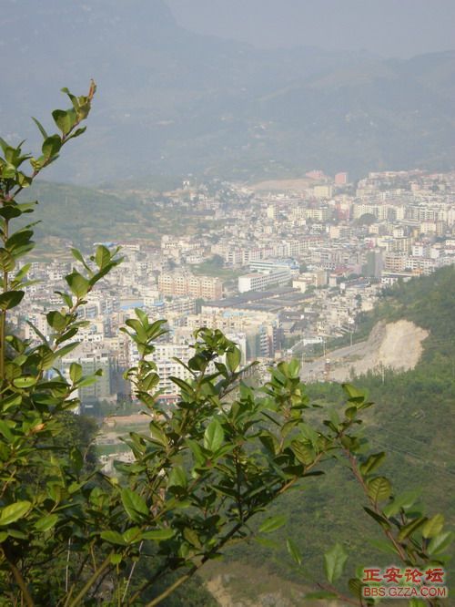 PA030053.JPG