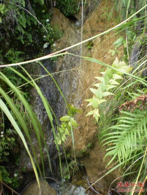PA030034.JPG