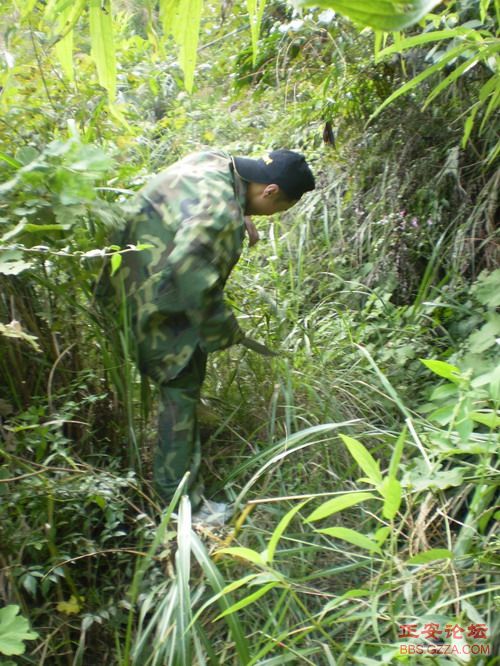 PA030033.JPG