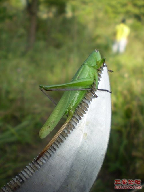 PA030046.JPG
