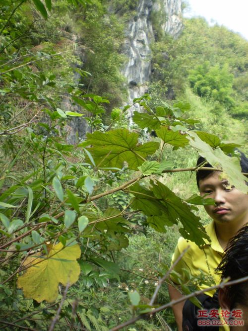 PA030036.JPG