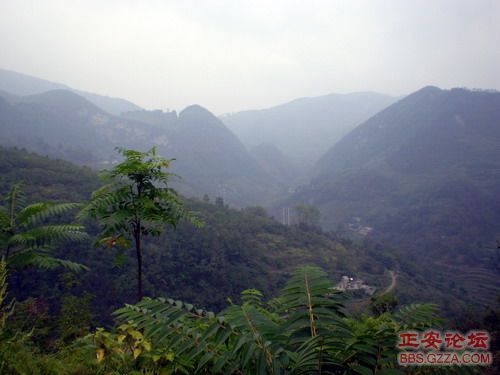 PA110004.JPG