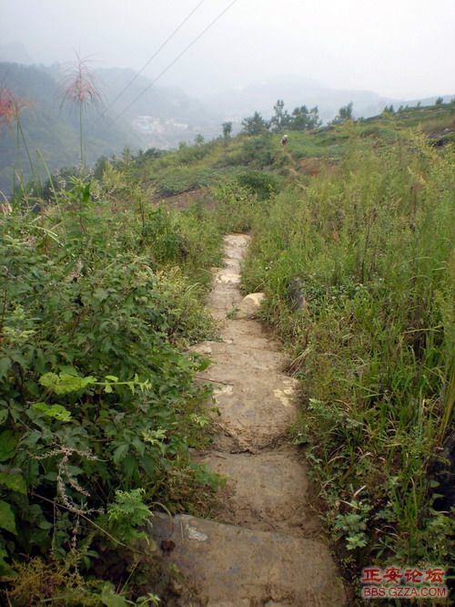 PA110005.JPG