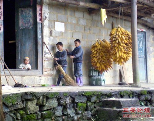 PA110057.JPG
