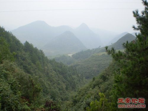 PA110080.JPG