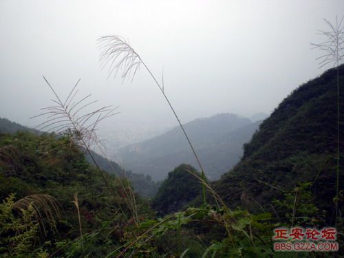 PA110089.JPG
