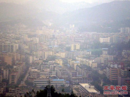 PA110029.JPG