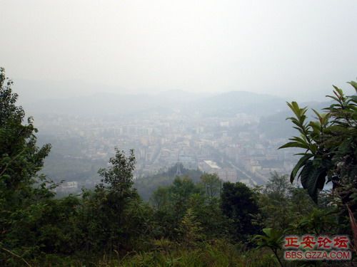 PA110027.JPG