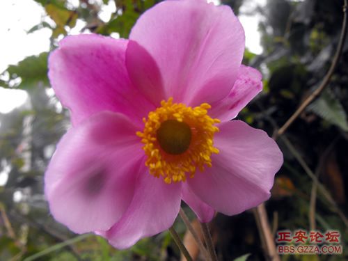 我活着，我行走——记“走遍正安”活动第三期插图51