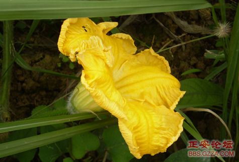 我活着，我行走——记“走遍正安”活动第三期插图54