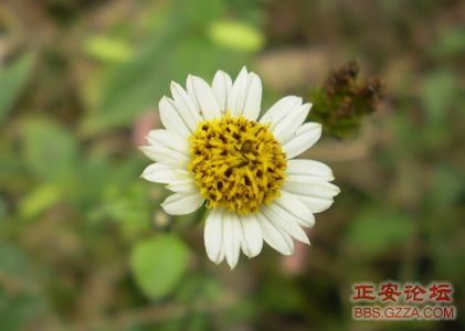 我活着，我行走——记“走遍正安”活动第三期插图56