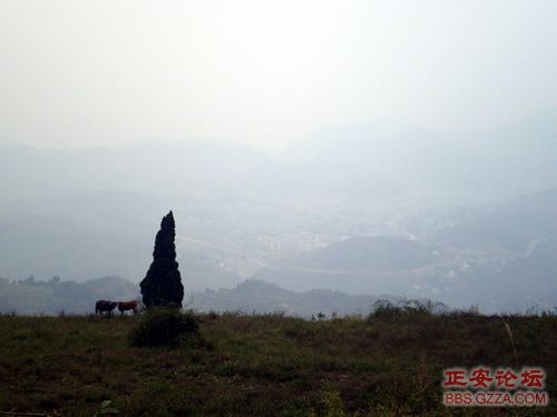 我活着，我行走——记“走遍正安”活动第三期插图33