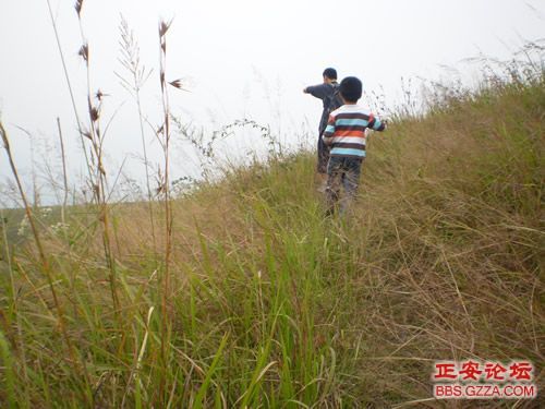 我活着，我行走——记“走遍正安”活动第三期插图48