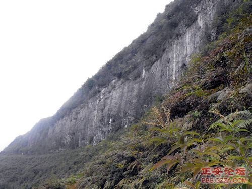 我活着，我行走——记“走遍正安”活动第三期插图38