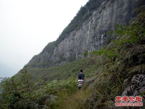 我活着，我行走——记“走遍正安”活动第三期插图41