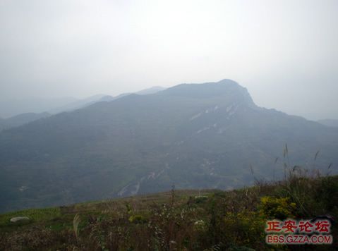 像老鹰一样自由飞翔——记“走遍正安”活动第四期插图20