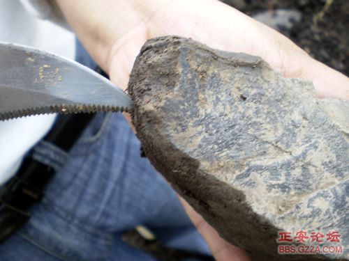 像老鹰一样自由飞翔——记“走遍正安”活动第四期插图19
