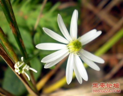 像老鹰一样自由飞翔——记“走遍正安”活动第四期插图28
