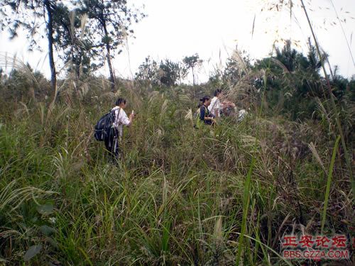像老鹰一样自由飞翔——记“走遍正安”活动第四期插图21