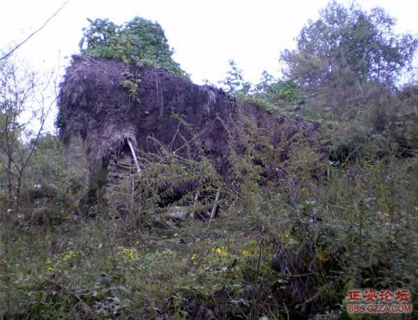 黑老山——记“走遍正安”活动第六期插图15