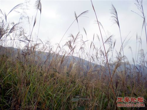 黑老山——记“走遍正安”活动第六期插图19