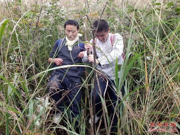 黑老山——记“走遍正安”活动第六期插图28