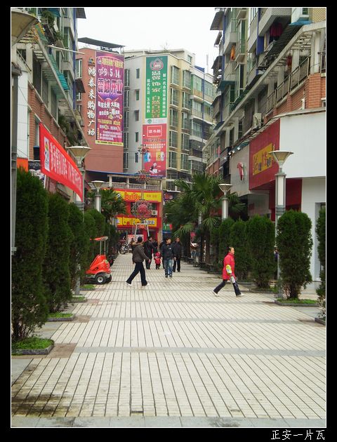 走渔塘——记“走遍正安”活动第八期插图5