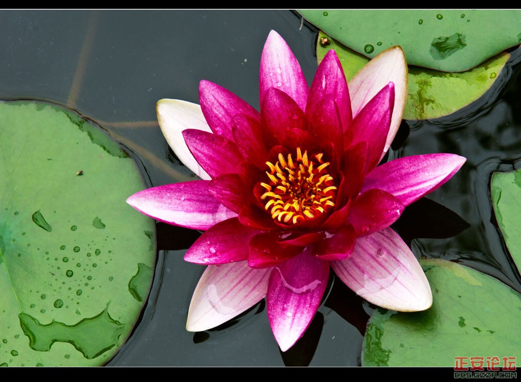 端午节游玩行摄杂记插图4