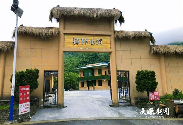正安：绿水青山催生“避暑经济”插图4
