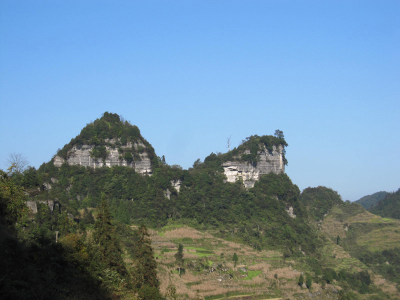 顶箐山风景独好，务本堂神韵依然——走遍正安活动第二十一期纪行插图17