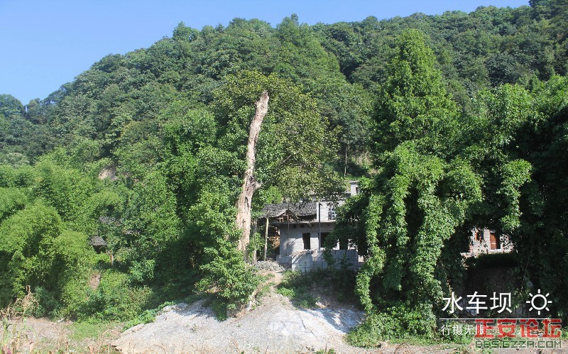 田园风光（瑞溪水车坝）插图9