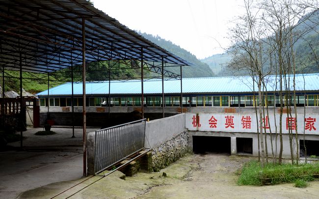 庙塘采风记插图26
