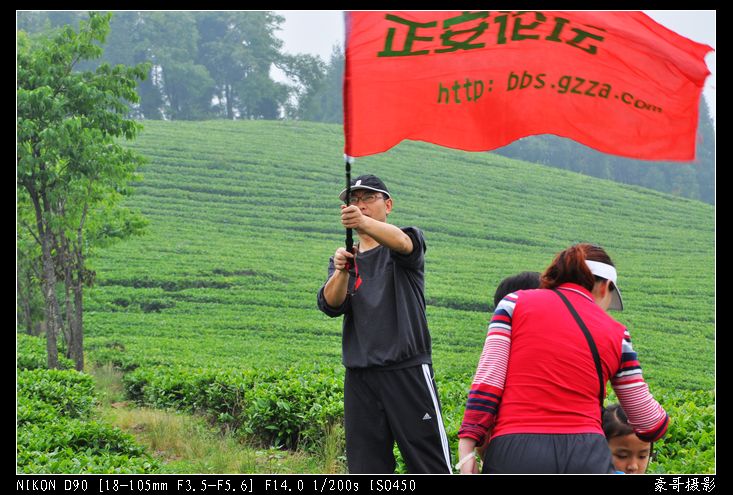 青山采不尽 茶香飘万里——桴焉茶场插图33