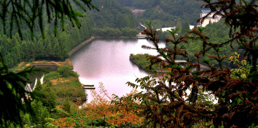 DSC_5188.JPG