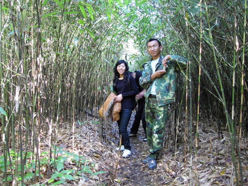 顶箐山风景独好，务本堂神韵依然——走遍正安活动第二十一期纪行插图39
