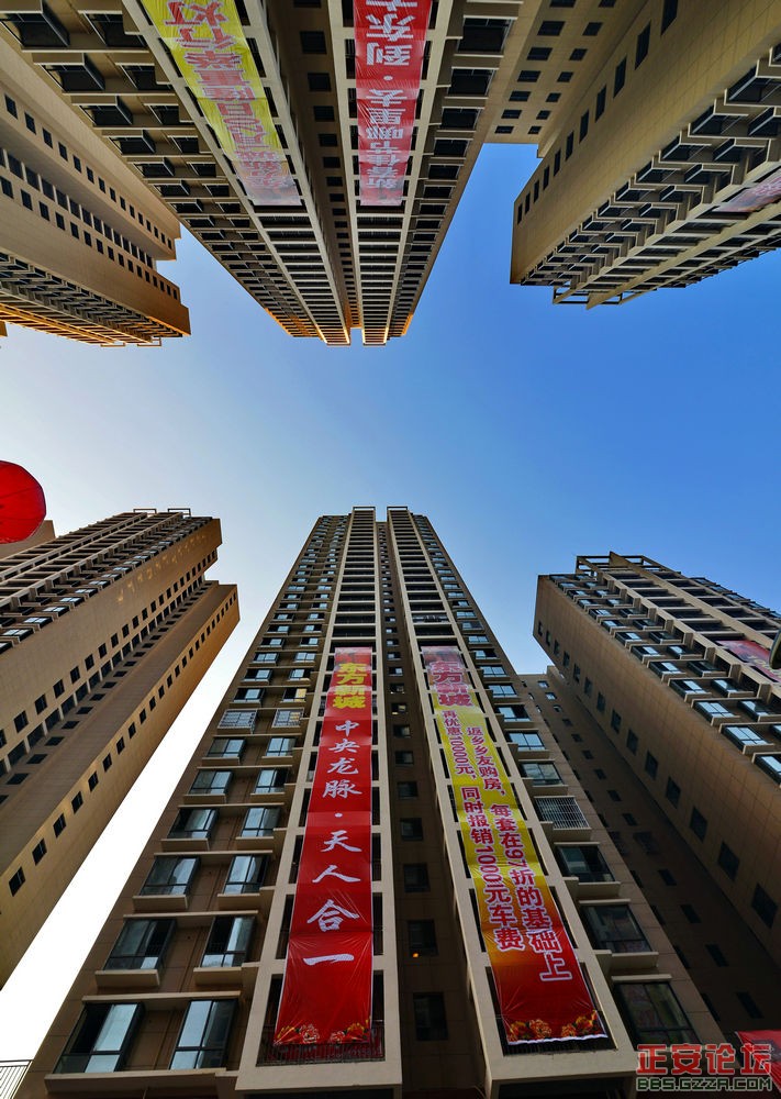 城市森林插图1