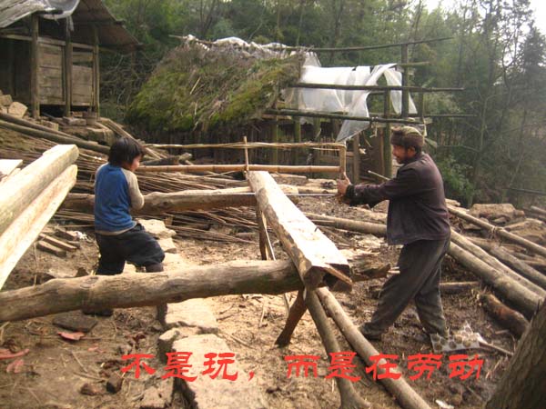 关于华尔山的一组图片插图8